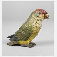 Wiener Bronze Papagei111