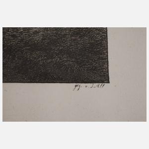 Jacob Alt, ”Stadt Kelheim und Colonie Neu Kelheim