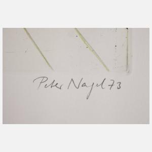 Prof. Peter Nagel, ”Pulzini Colorati”