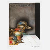 Prof. Peter Nagel, ”Pulzini Colorati”111