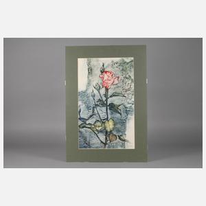 Rupert Rosenkranz, Rosenzweig