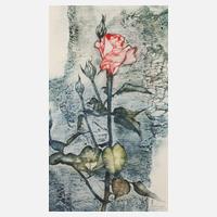 Rupert Rosenkranz, Rosenzweig111