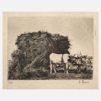 Josef Steiner, Beladener Ochsenkarren111