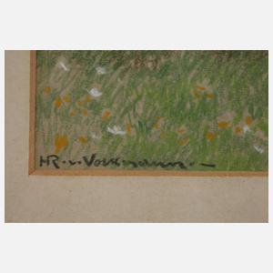 Hans Richard von Volkmann, Am Wegesrand