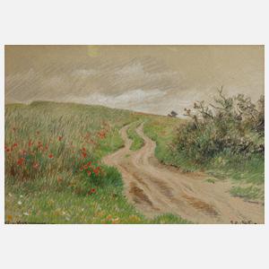 Hans Richard von Volkmann, Am Wegesrand