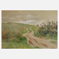 Hans Richard von Volkmann, Am Wegesrand111