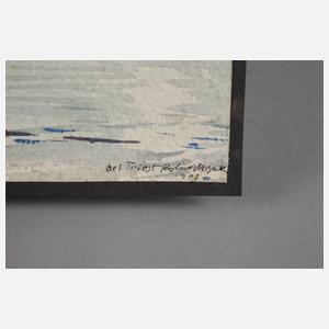 Robert Wosak, Das Meer vor Triest