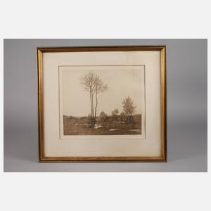 Prof. Walther Löbering, Vorfühling im Vogtland