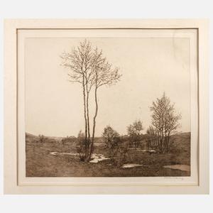 Prof. Walther Löbering, Vorfühling im Vogtland