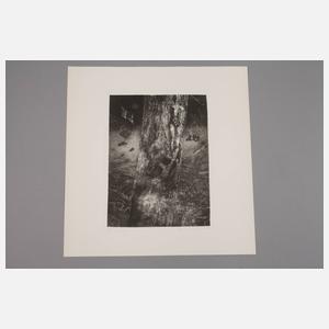 Prof. Rolf Münzner, ”Erinnerung”