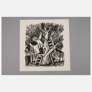 Prof. Lothar Sell, ”Imker”