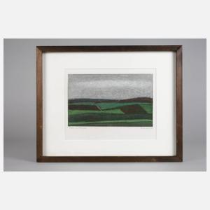 Ulrich Eisenfeld, ”Felder im Frühjahr”