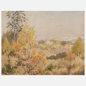 Siegfried Hauffe, Burgsteinansicht