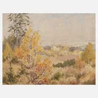 Siegfried Hauffe, Burgsteinansicht111