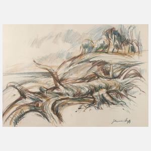 Johannes Hess, Darßlandschaft