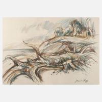 Johannes Hess, Darßlandschaft111