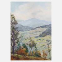 Max Tilke, attr., Gebirgslandschaft111