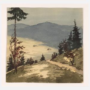 ”Vom Bärenstein gegen Fichtelberg”