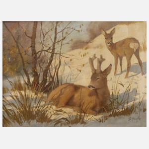Siegfried Hauffe, Rehe im Schnee