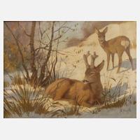 Siegfried Hauffe, Rehe im Schnee111