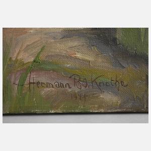 Hermann Richard Otto Knothe, Am Seerosenteich