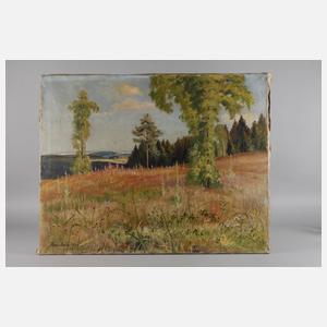 Hans Sachs, Sommer im Vogtland