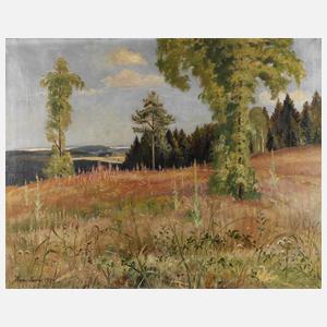 Hans Sachs, Sommer im Vogtland