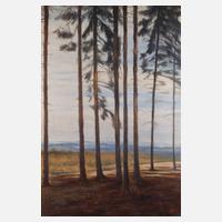 Albin Schlehahn, Am Waldrand111