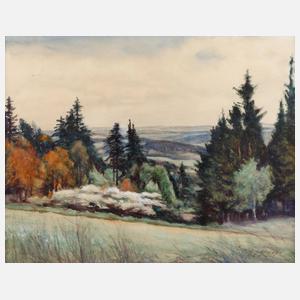 Albin Schlehahn, Sommer im Vogtland