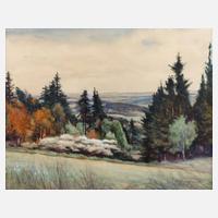 Albin Schlehahn, Sommer im Vogtland111