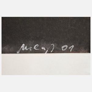 Prof. Mario Urlaß, ”Verlusttransport”