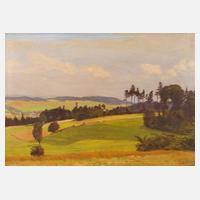 Wendel, Sommer im Vogtland111