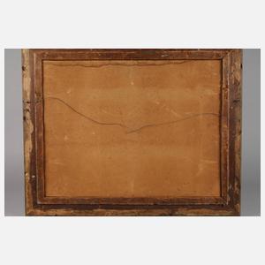 Rheinfall von Schaffhausen