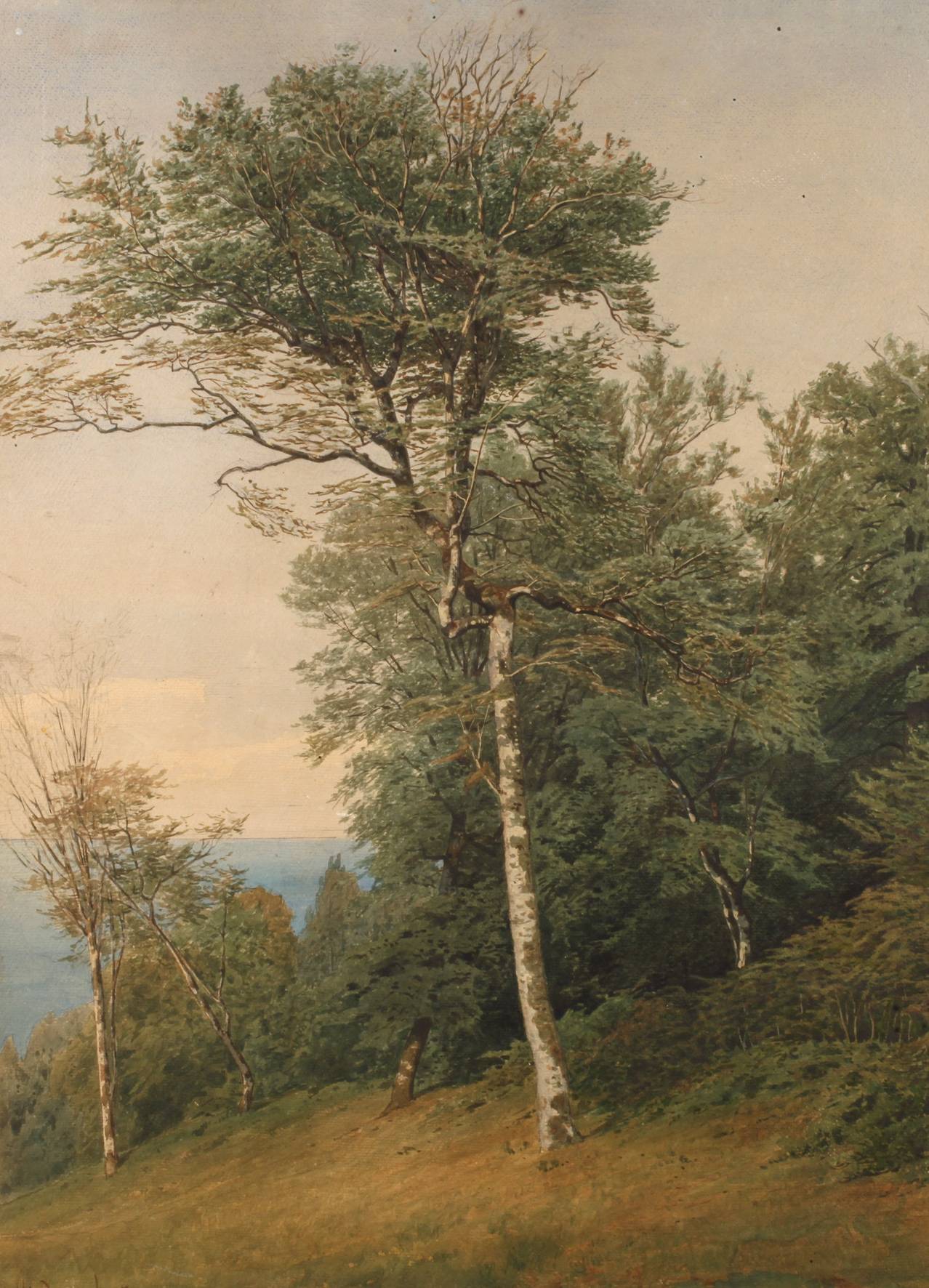 Prof. Ferdinand Schauss, attr., Birken bei Midsroy