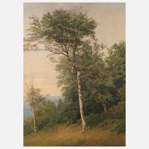 Prof. Ferdinand Schauss, attr., Birken bei Midsroy