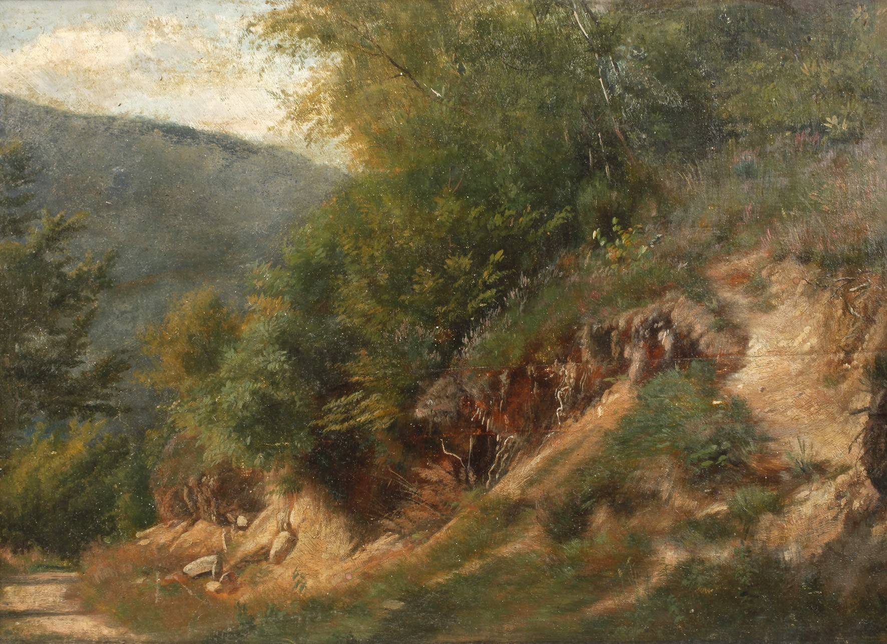 Idyllischer Wanderpfad