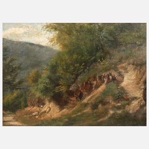 Idyllischer Wanderpfad