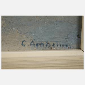 Clara Arnheim, Fjorde in Norwegen