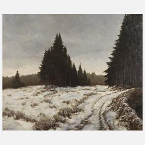 Louis van Bressem, Hochebene im Schnee