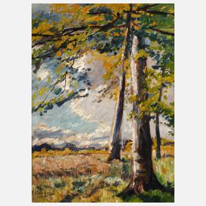 Richard Falkenberg, ”Buchen auf der Lichtung”