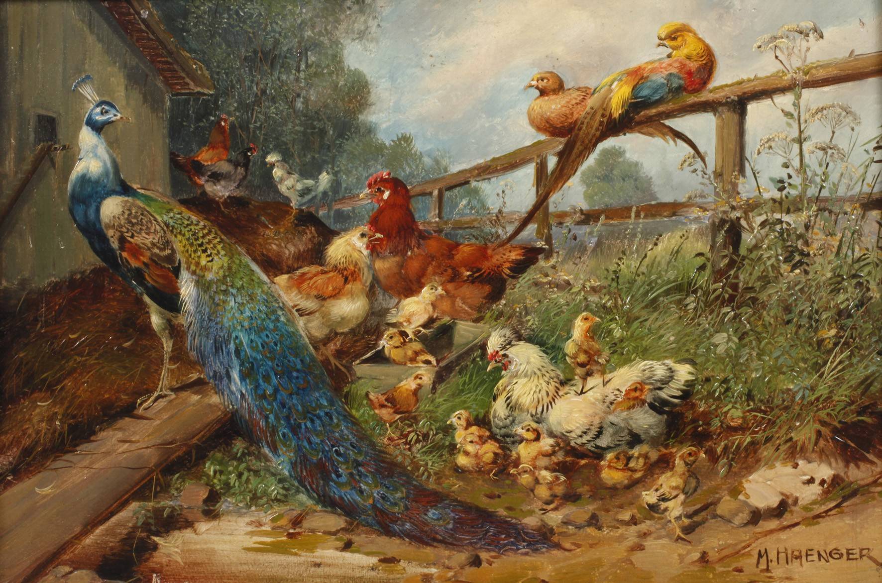 Max Hänger, Hühnerhof mit Pfau und Fasan