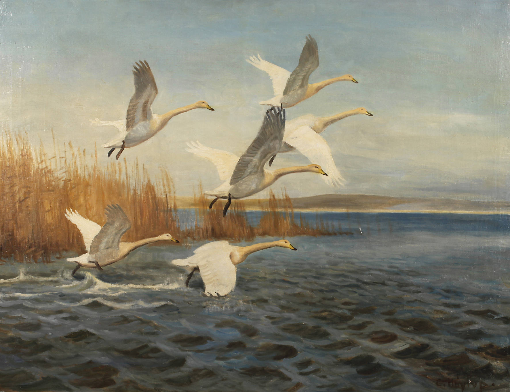 Carl Høyrup, Aufsteigende Gänse