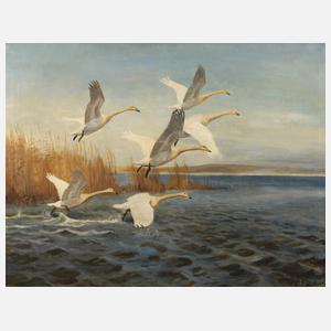 Carl Høyrup, Aufsteigende Gänse