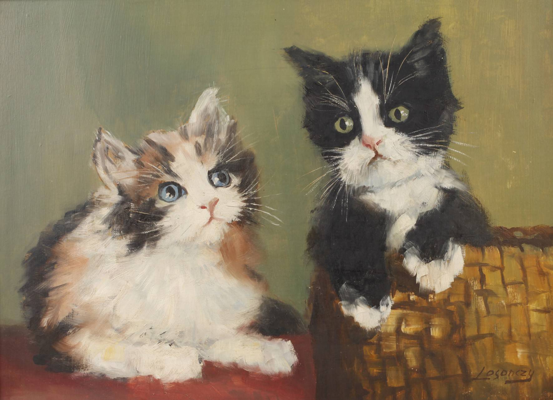 Losonczy, Katzenkinder