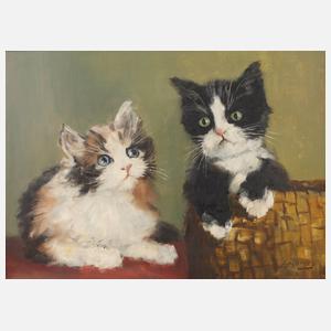 Losonczy, Katzenkinder