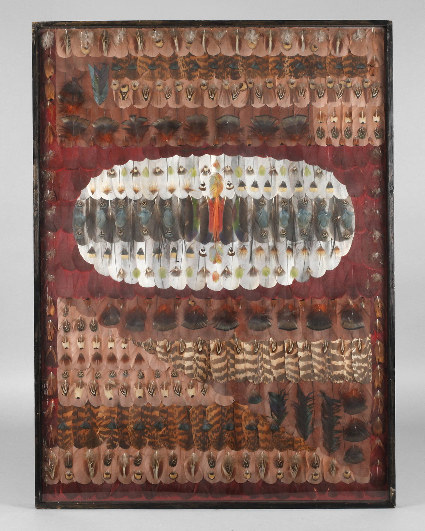 Edgard Pillet, Federbild ”Anacardier”