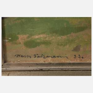 Hans Salzmann, ”Oder bei Lebus”