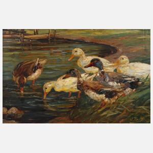 Willy Tiedjen, Enten am Wasser