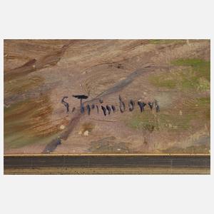 Gottfried Trimborn, Der Neckar in Heidelberg