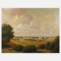 Werner Vogel, Sommerliche Eifellandschaft111